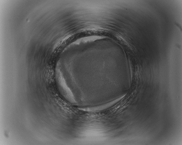 X0000102250822200808081409