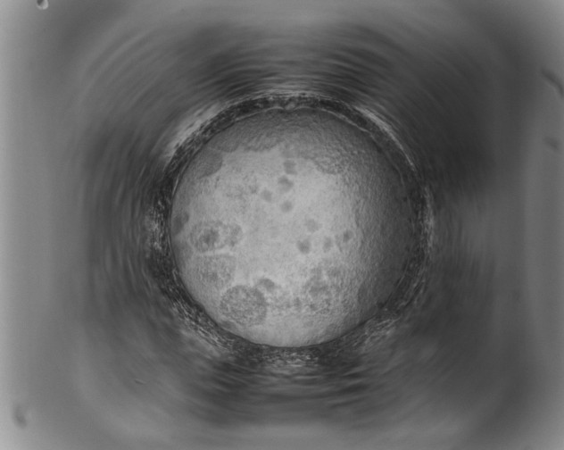 X0000102250823200808081409