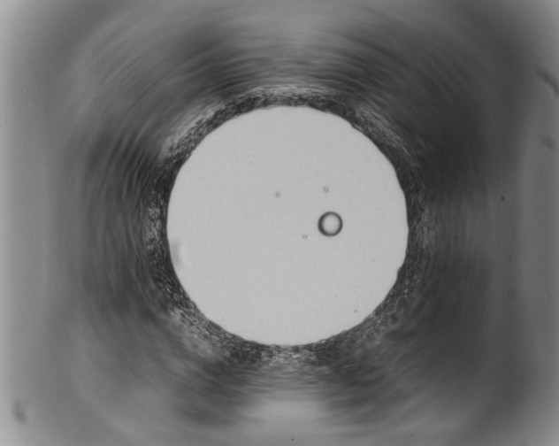 X0000102250824200808081409