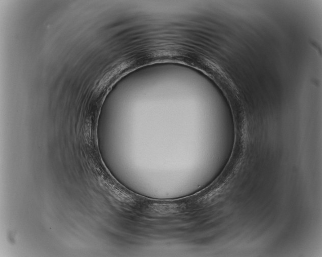 X0000102250825200808081409