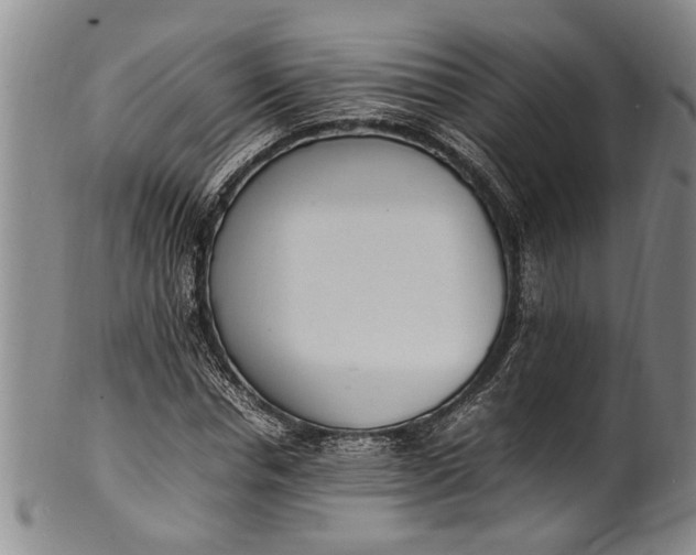 X0000102250826200808081409