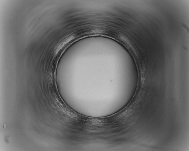 X0000102250827200808081409