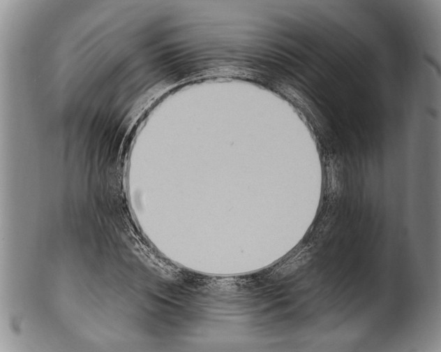 X0000102250828200808081409