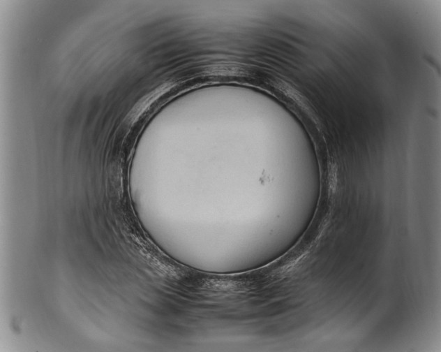 X0000102250829200808081409