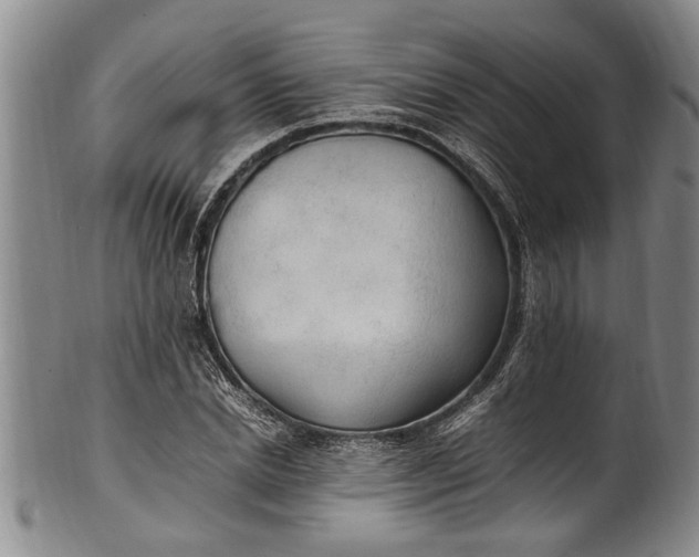 X0000102250830200808081409