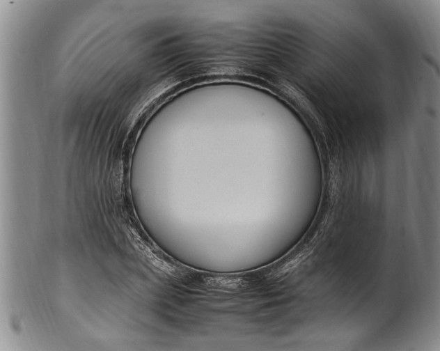 X0000102250831200808081409