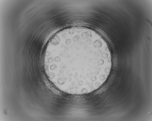 X0000102250832200808081409