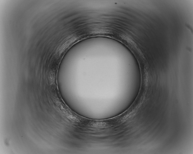 X0000102250833200808081409