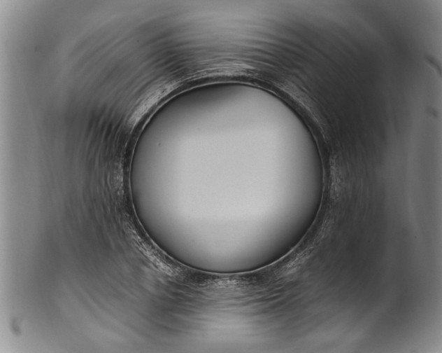 X0000102250834200808081409