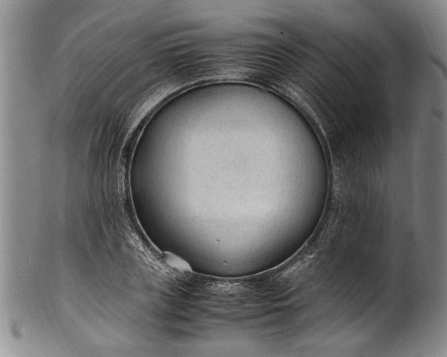 X0000102250835200808081409