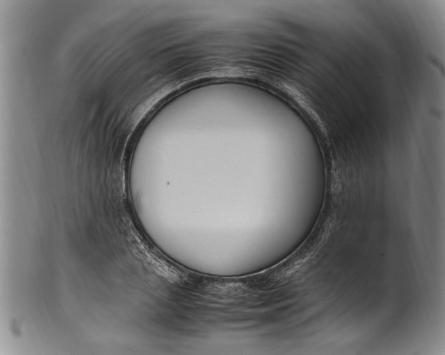 X0000102250837200808081409