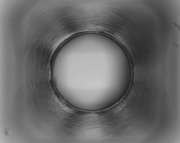 X0000102250838200808081409