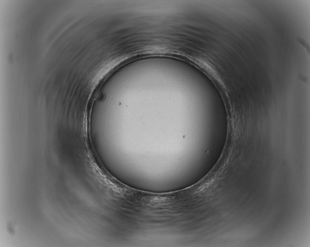 X0000102250839200808081409