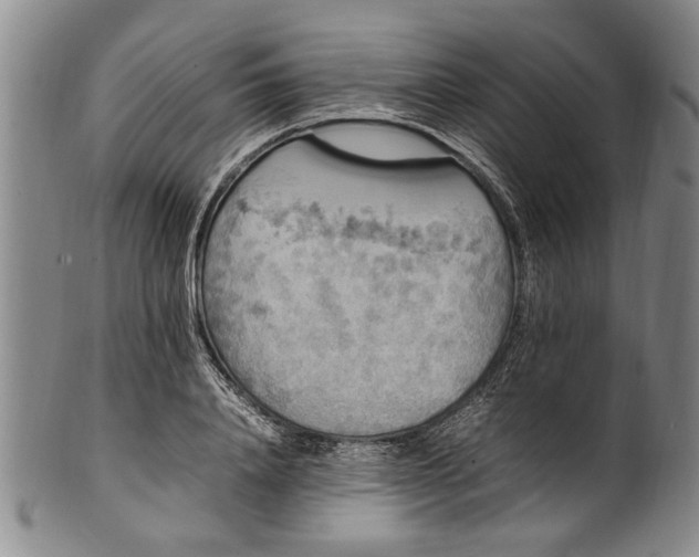 X0000102250840200808081409