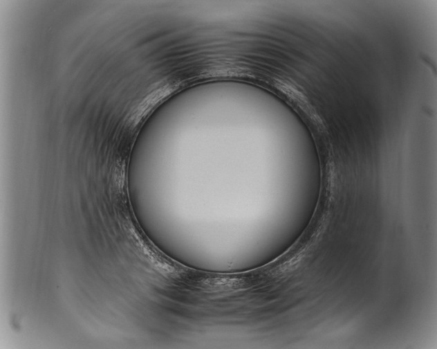 X0000102250841200808081409