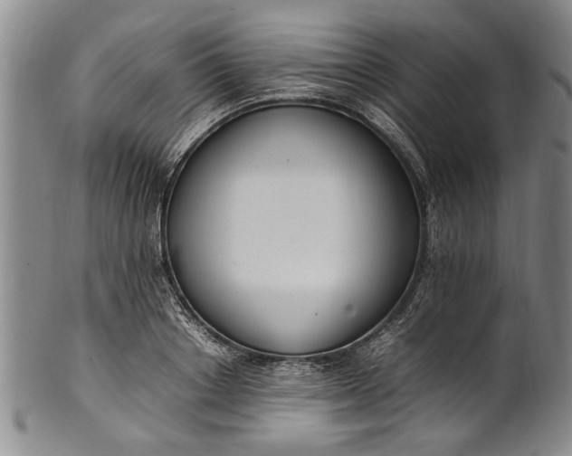 X0000102250842200808081409