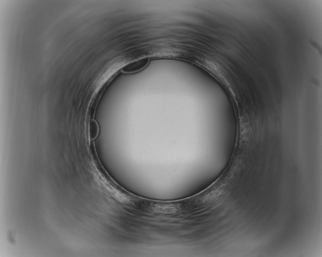 X0000102250843200808081409