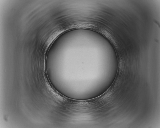 X0000102250844200808081409