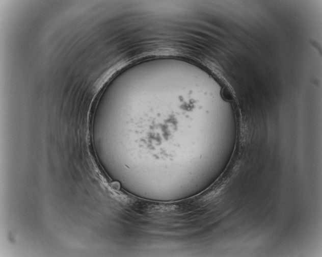 X0000102250845200808081409