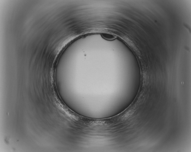 X0000102250846200808081409