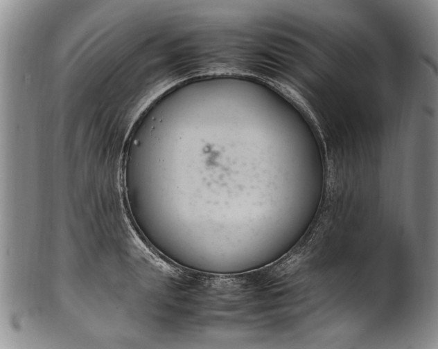 X0000102250847200808081409