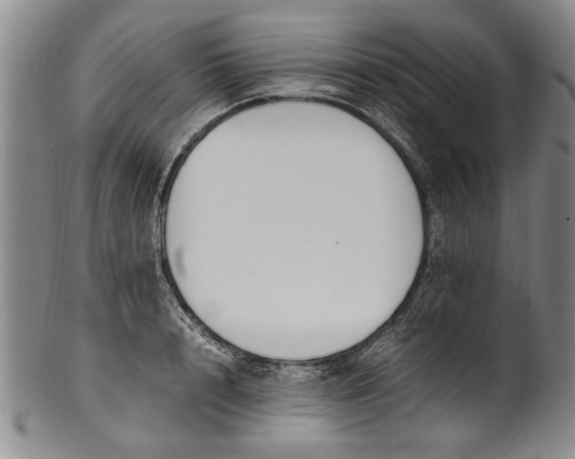 X0000102250848200808081409