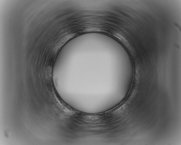 X0000102250849200808081409