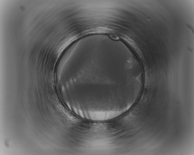 X0000102250850200808081409