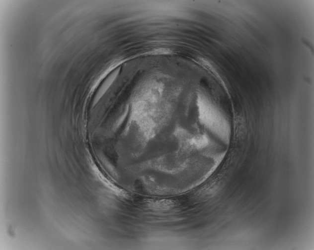 X0000102250851200808081409