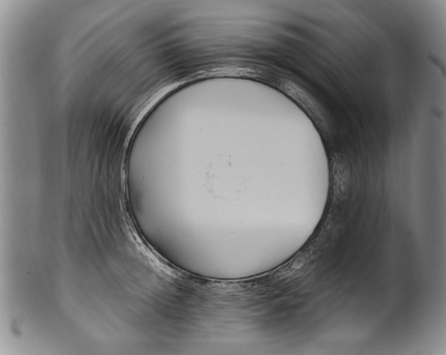 X0000102250852200808081409