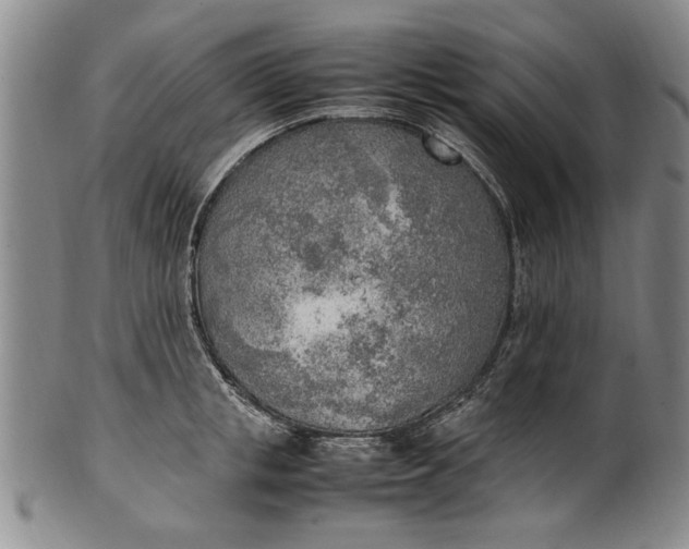 X0000102250853200808081409