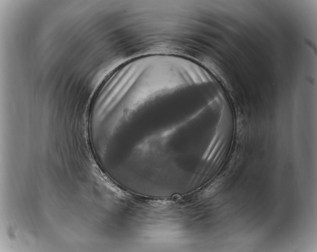 X0000102250854200808081409