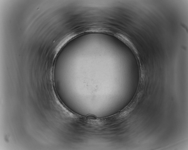 X0000102250855200808081409