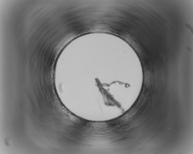 X0000102250856200808081409