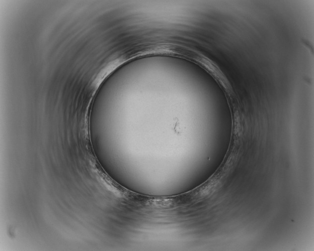 X0000102250858200808081409