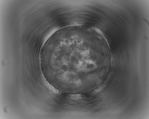 X0000102250859200808081409