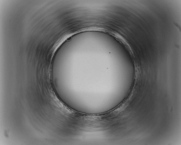 X0000102250860200808081409