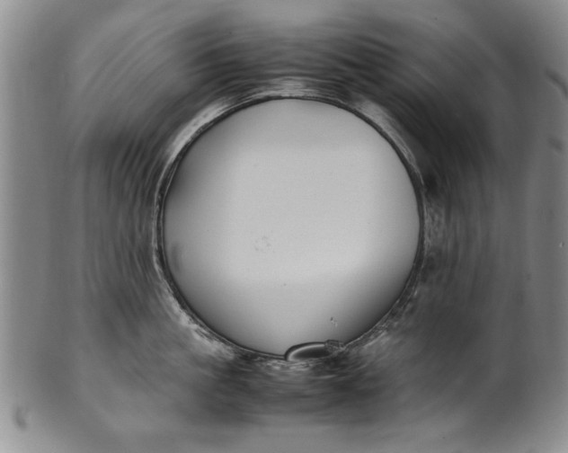 X0000102250861200808081409