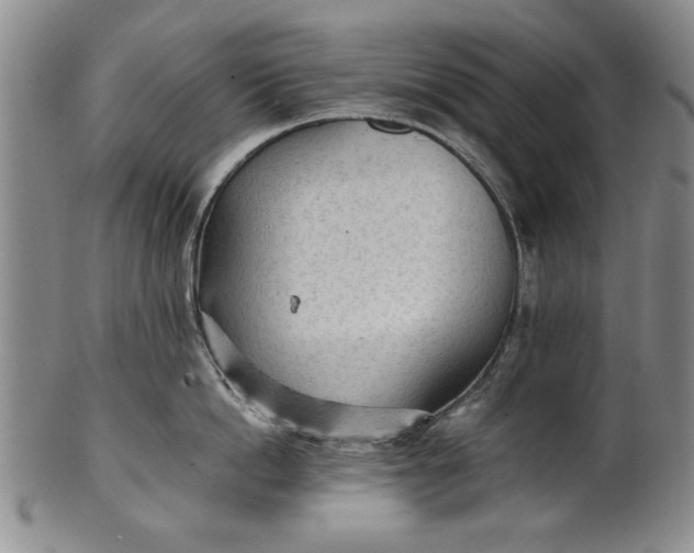 X0000102250862200808081409