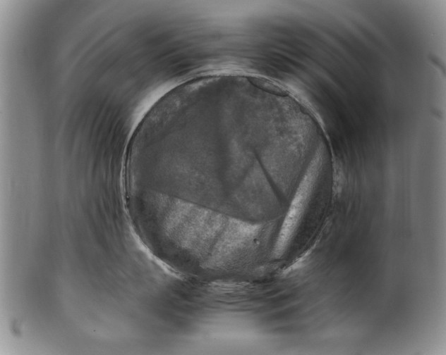 X0000102250863200808081409