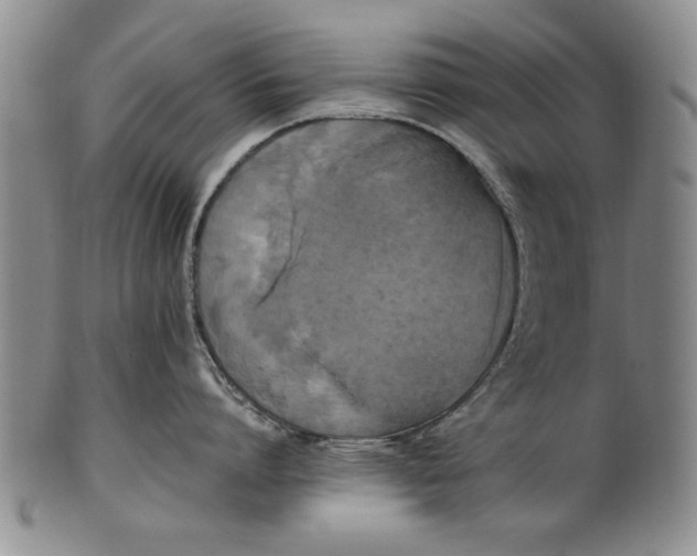 X0000102250864200808081409