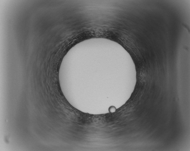 X0000102250865200808081408