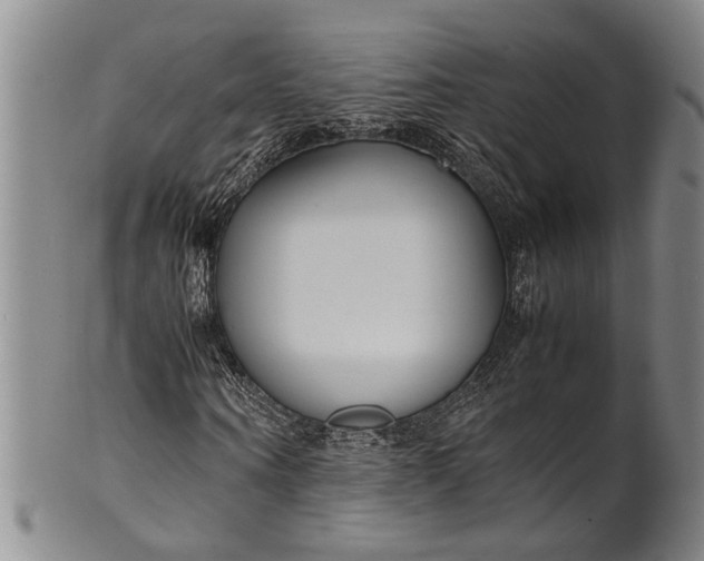 X0000102250866200808081408