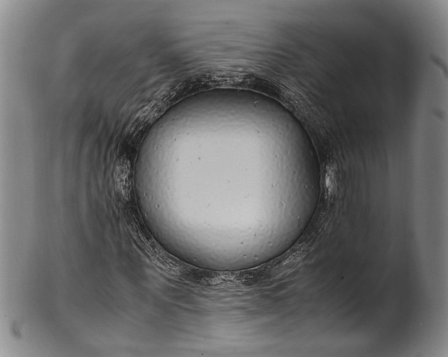 X0000102250867200808081408