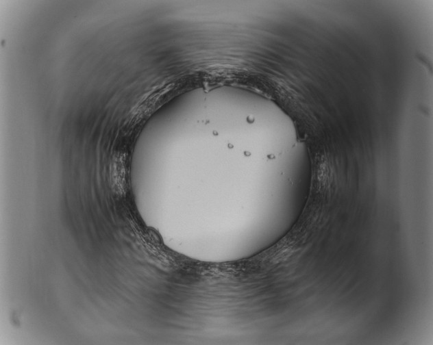 X0000102250868200808081408