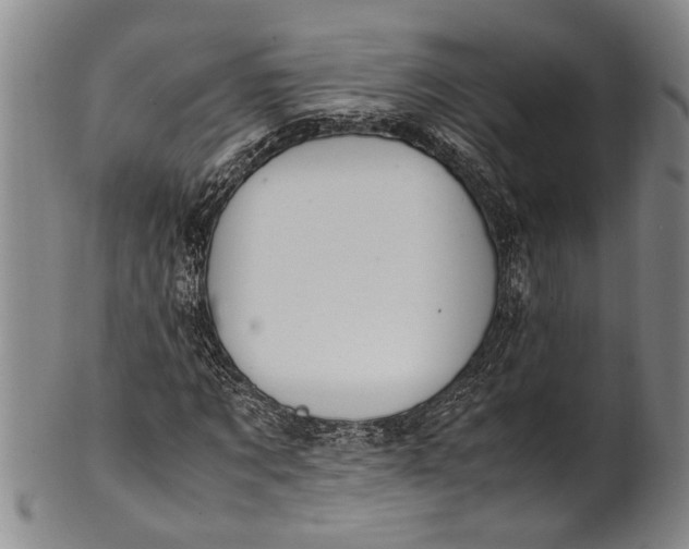 X0000102250869200808081408