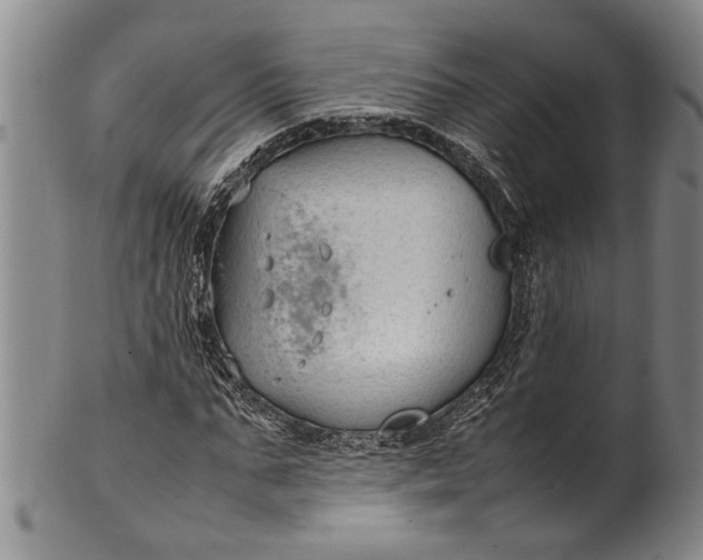 X0000102250871200808081408