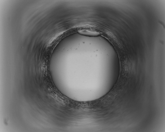 X0000102250872200808081408