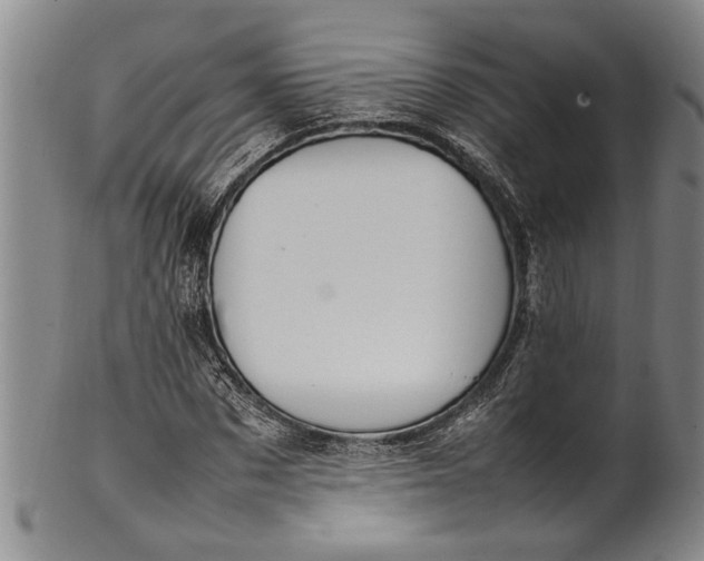 X0000102250873200808081408