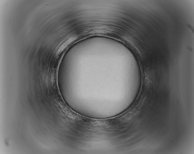 X0000102250874200808081408